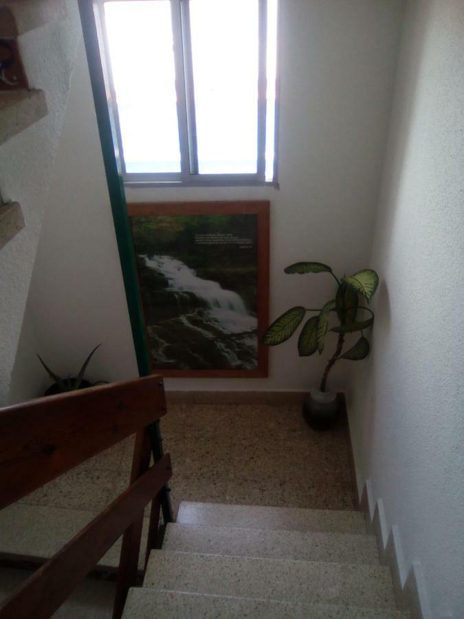 8 Calle Tangara La Gloria Santa Cruz de Tenerife Exteriör bild